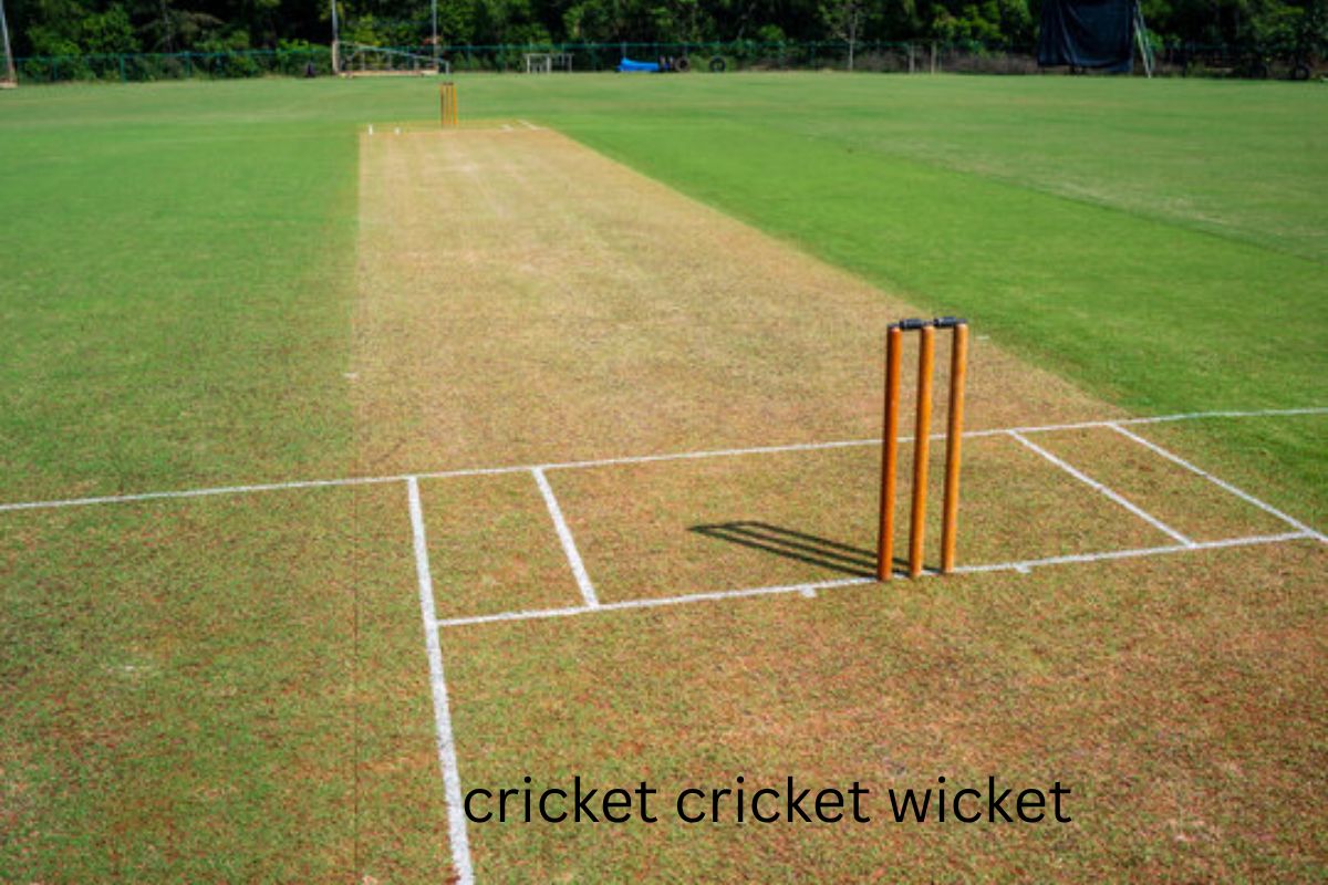 cricket cricket wicket