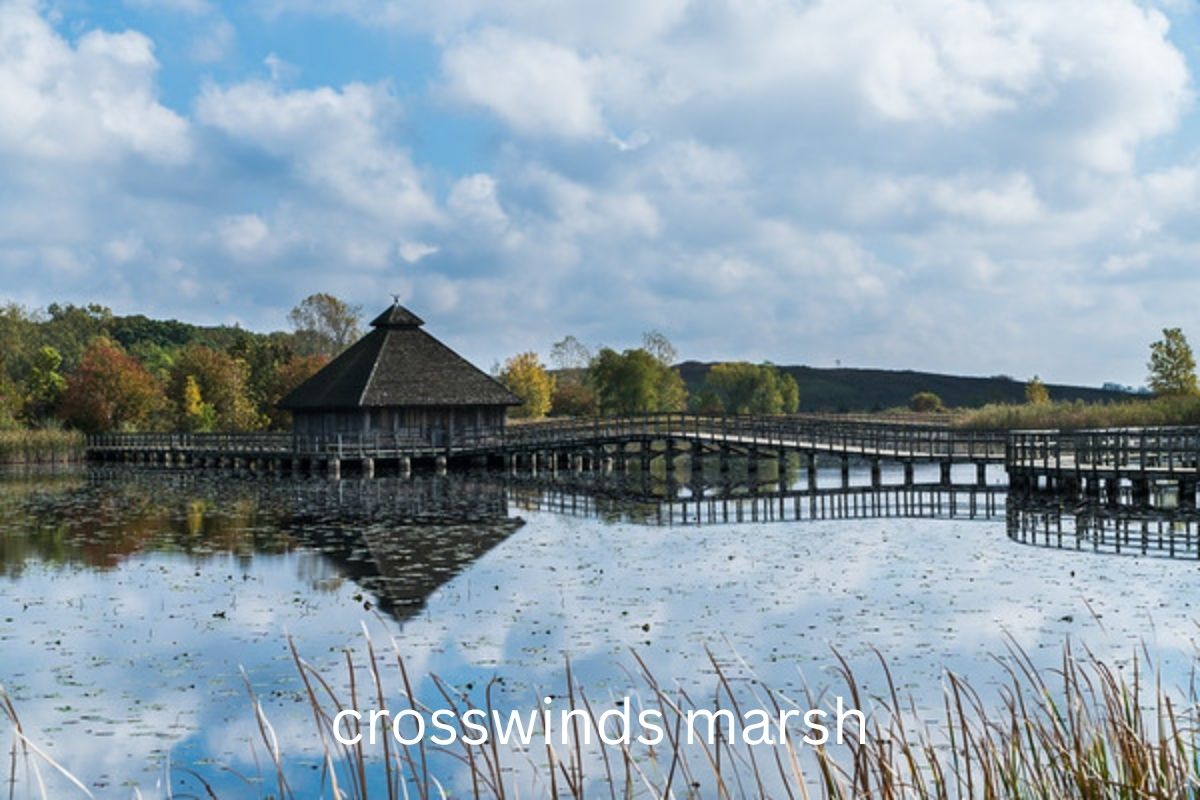 crosswinds marsh